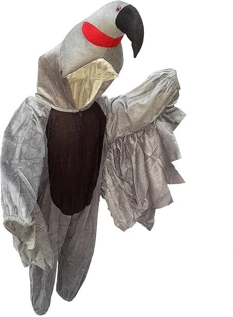 Pigeon Costume for Kids